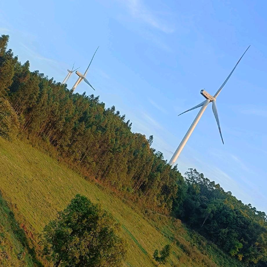 这个抖音不用了