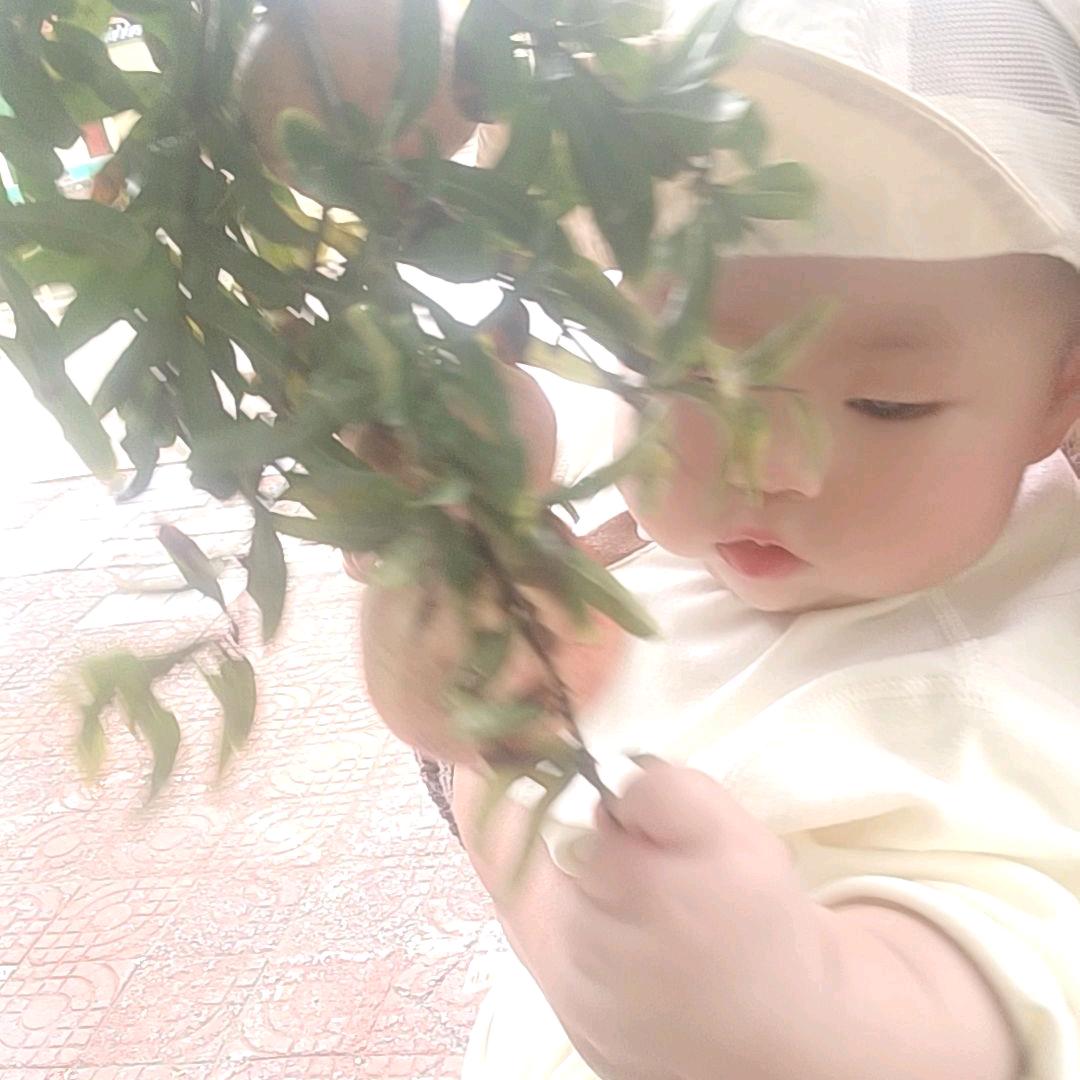 @新破天一剑（木子 LI）