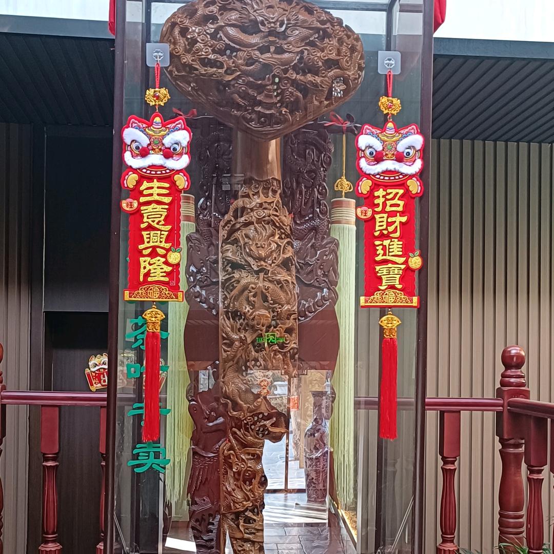 桂聪