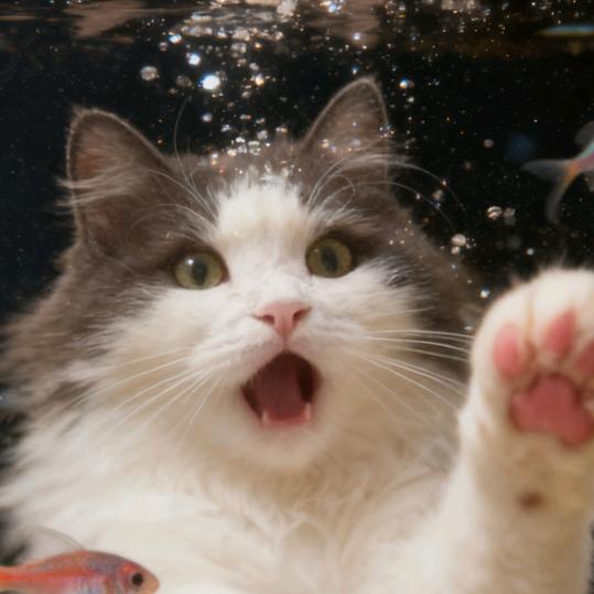 敬敬～锦尚大宅装饰