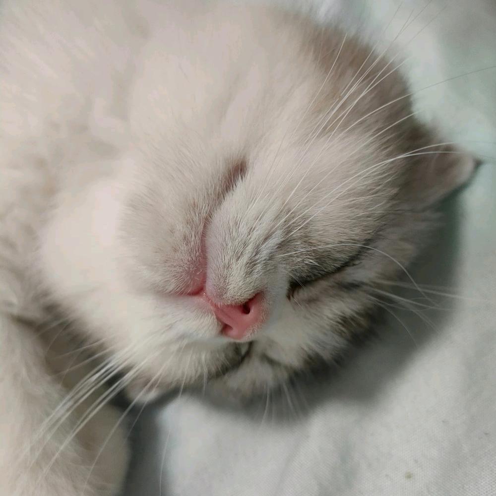 风吹草低见🐮🐏