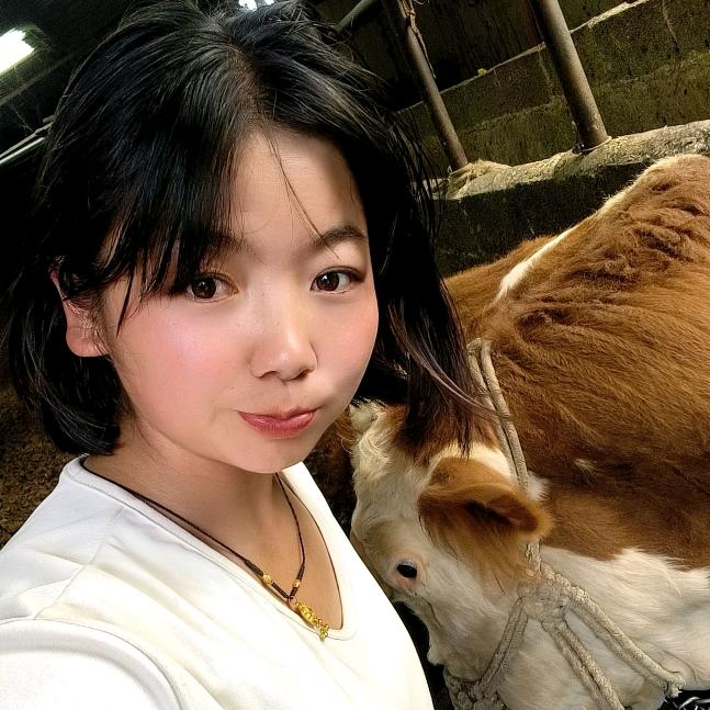 养牛妹  小陈