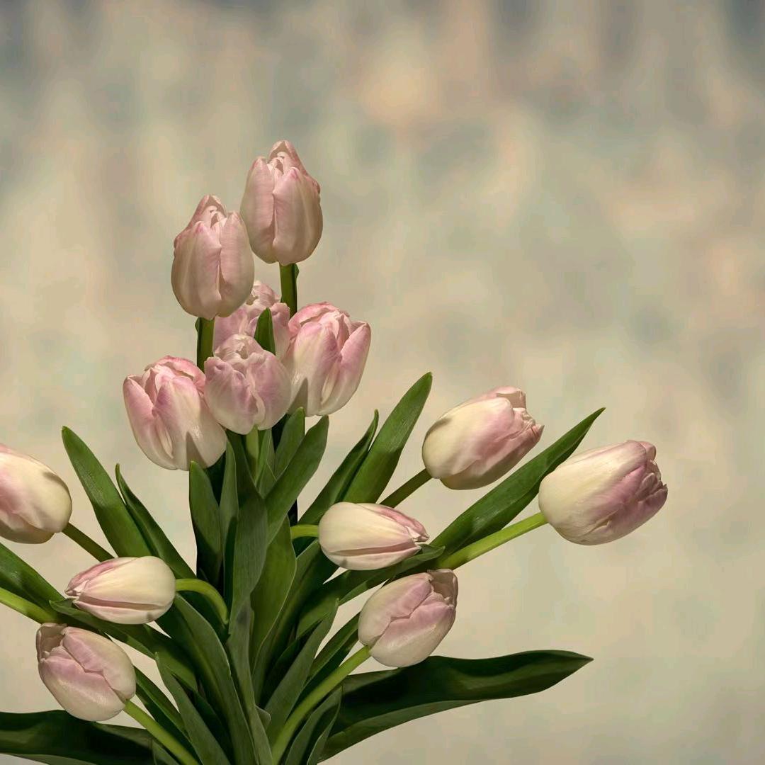 小芳.