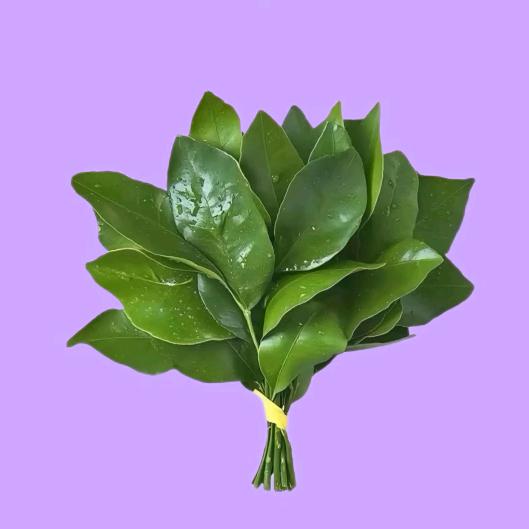 是小梁啊