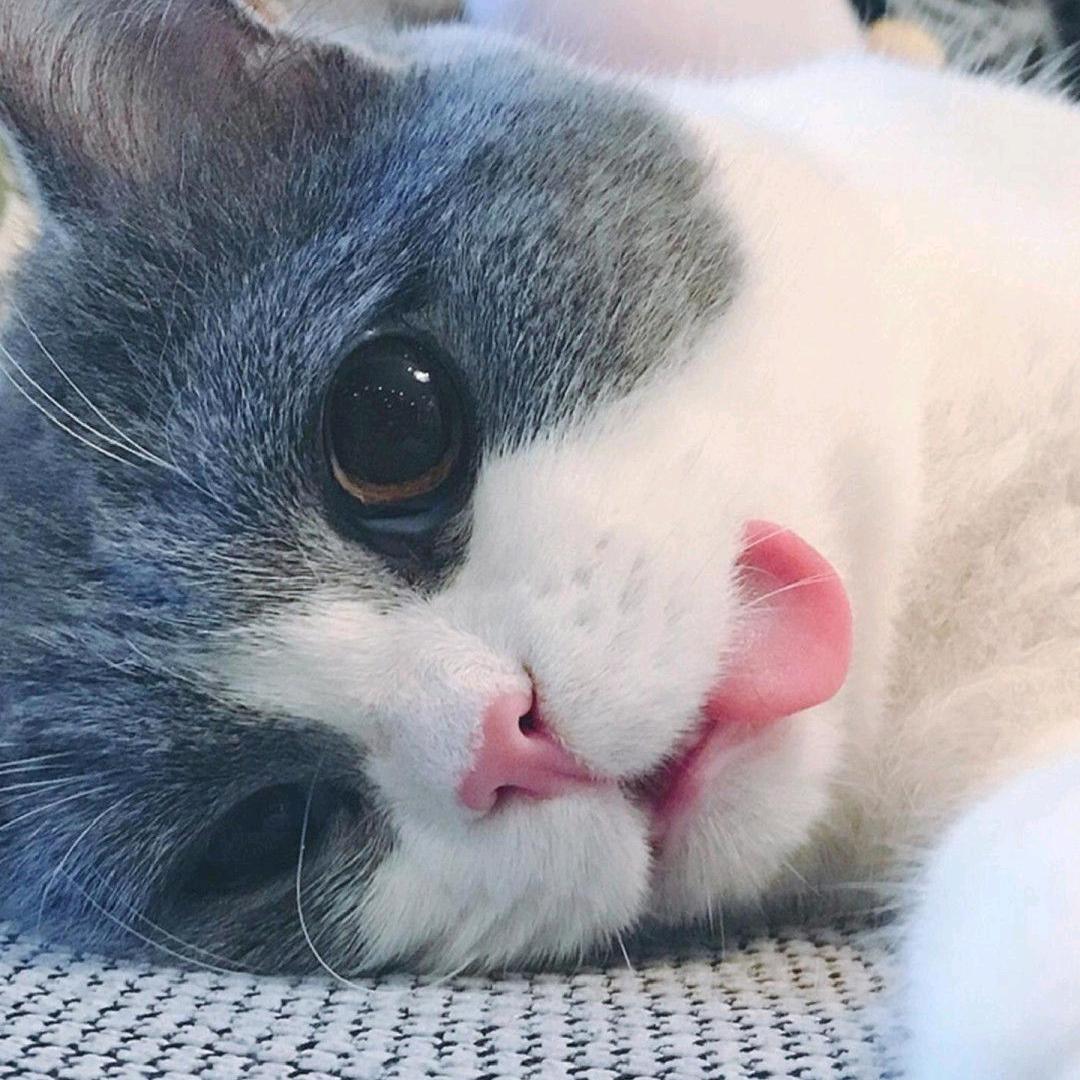 三月