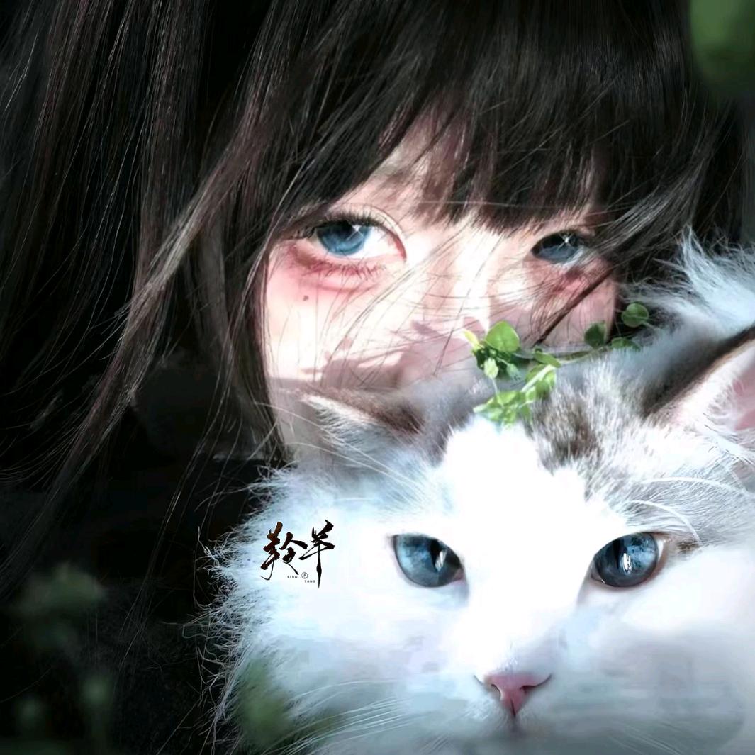 捕霖计划·羚羊（六周年来票来票）