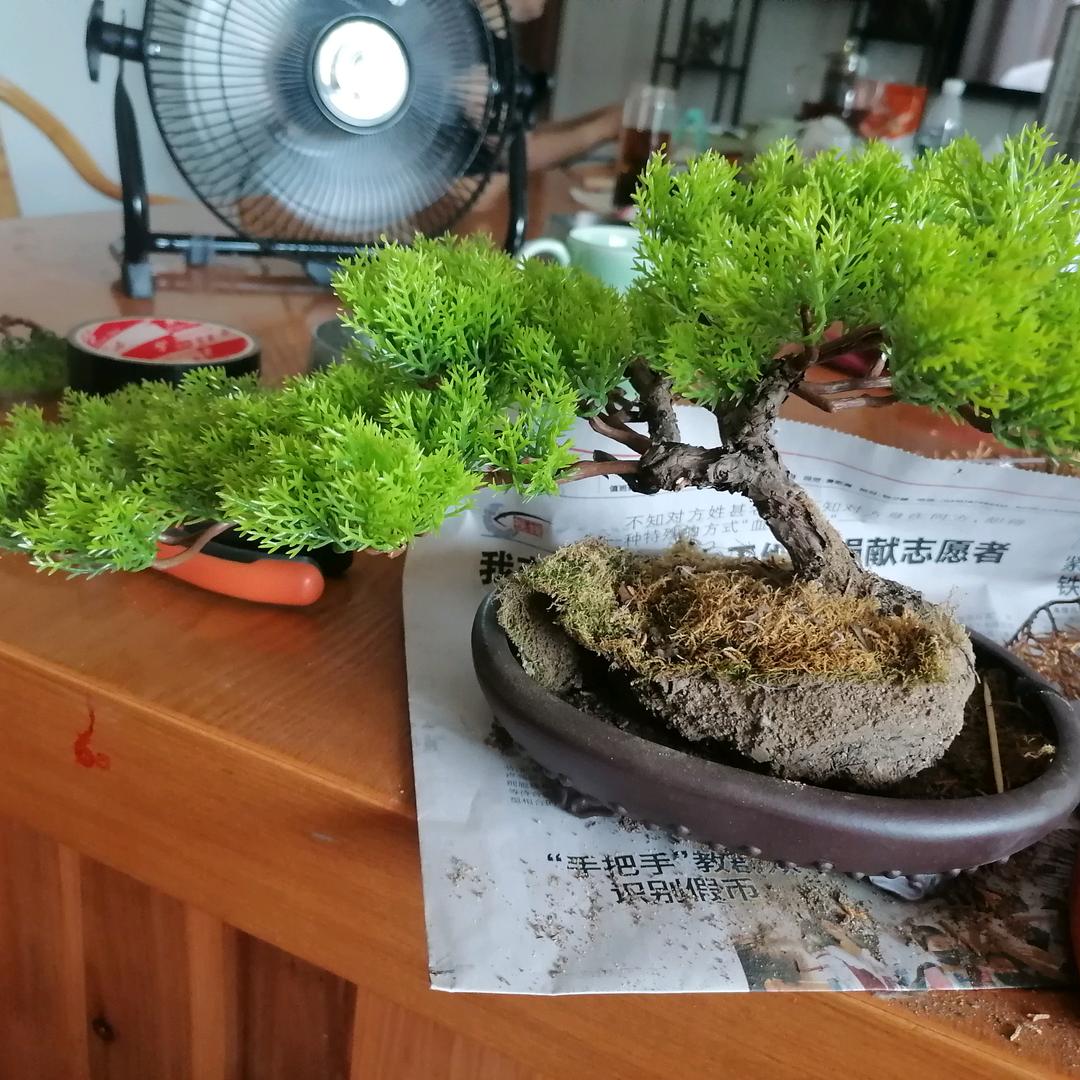 金蛇飞舞