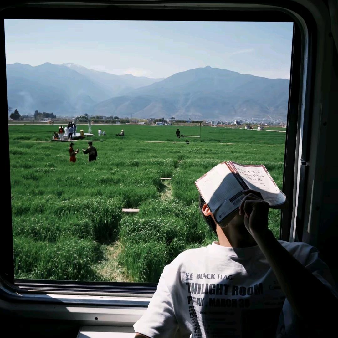 一书一世界（打工中努力更新版）