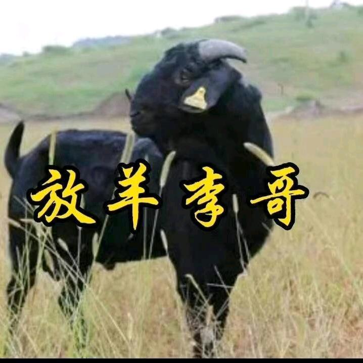安安哥