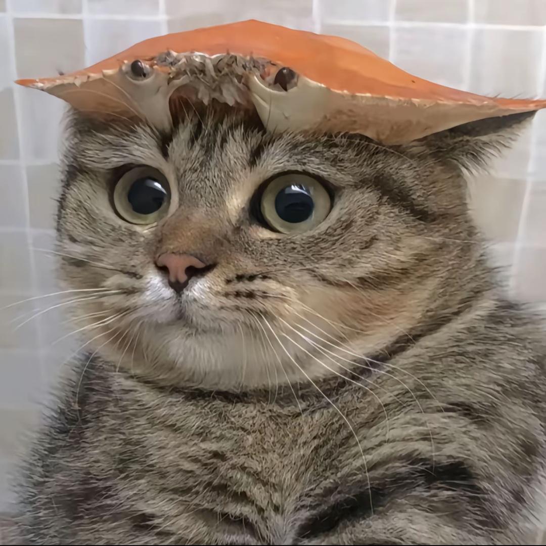 源轩雾
