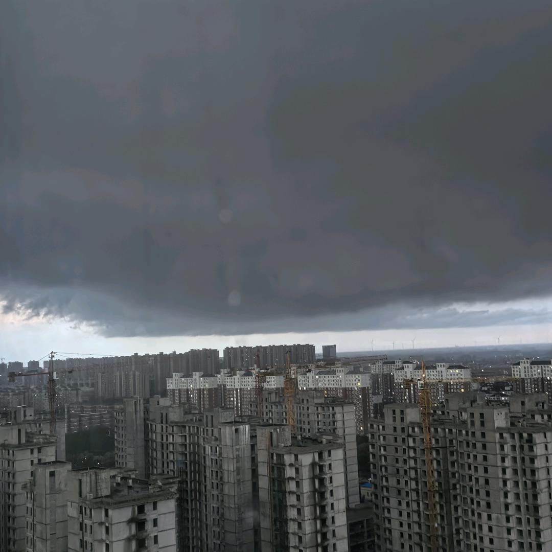 孙晨曦