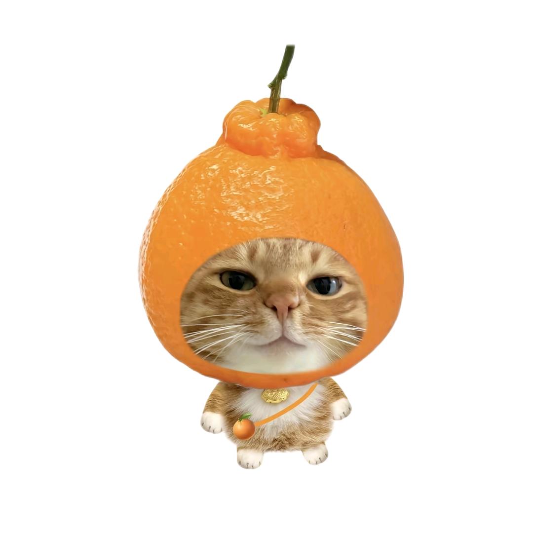 听风权欲