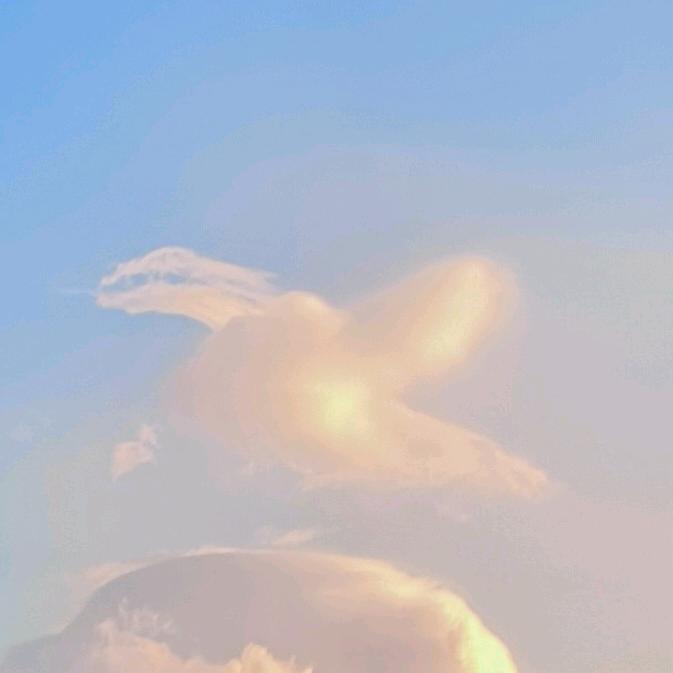 遇而不余
