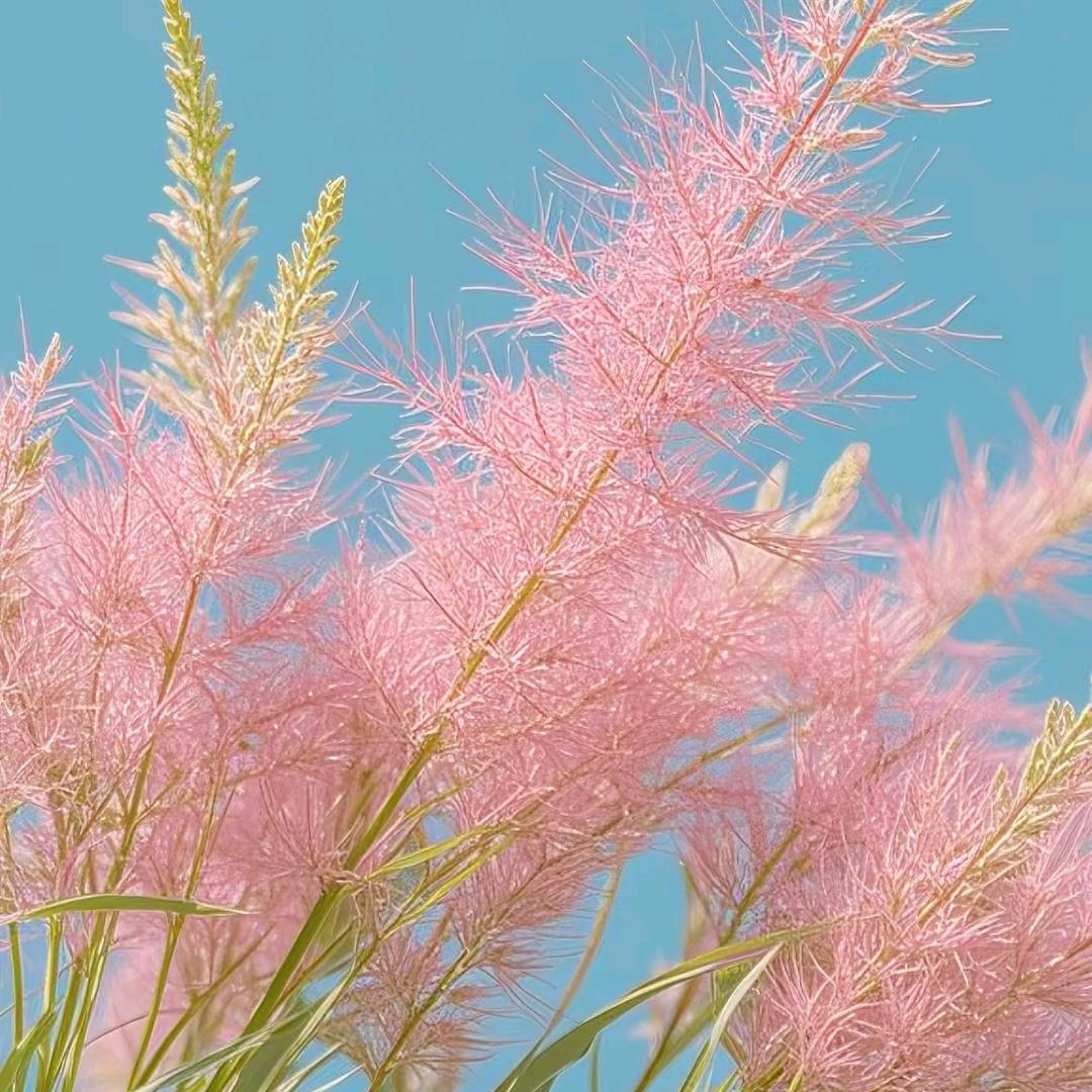悠💞💞然