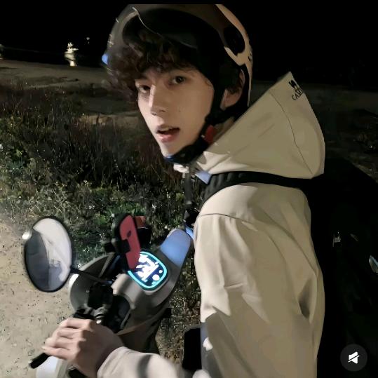茂茂