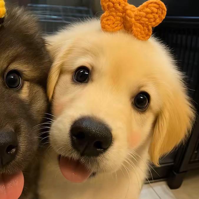 aw.