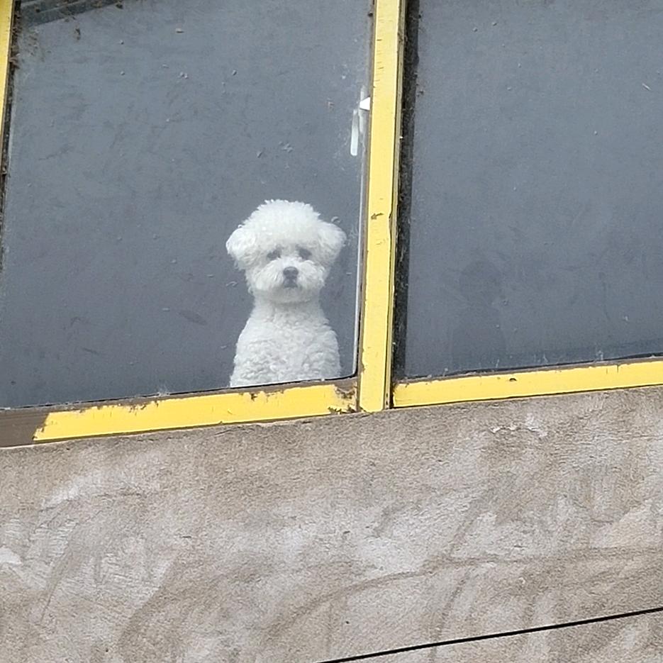 马路边烧烤（南花苑店）🥰🥰