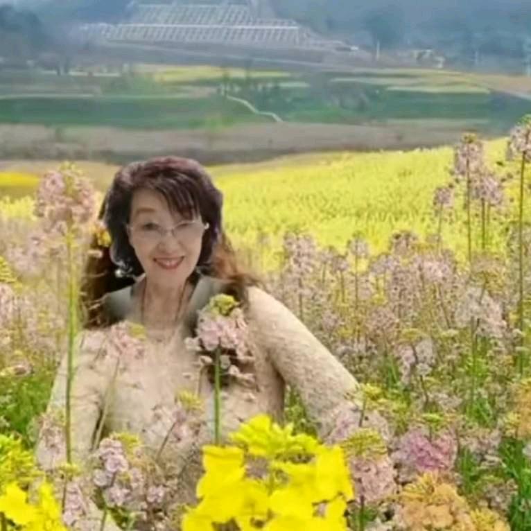 迎春花