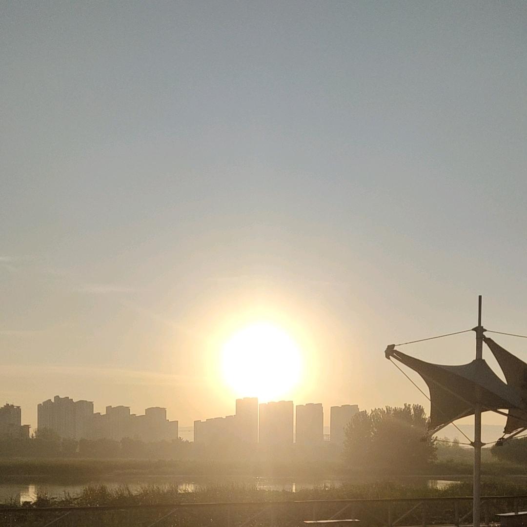 舉.🌷