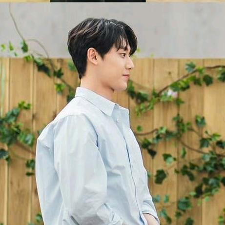 浪漫先生金师傅