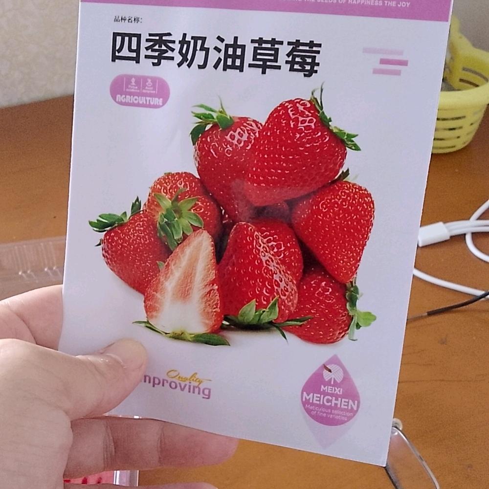 @小陈老铁~
