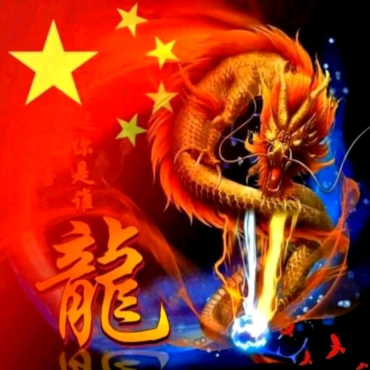 @卧龙哥