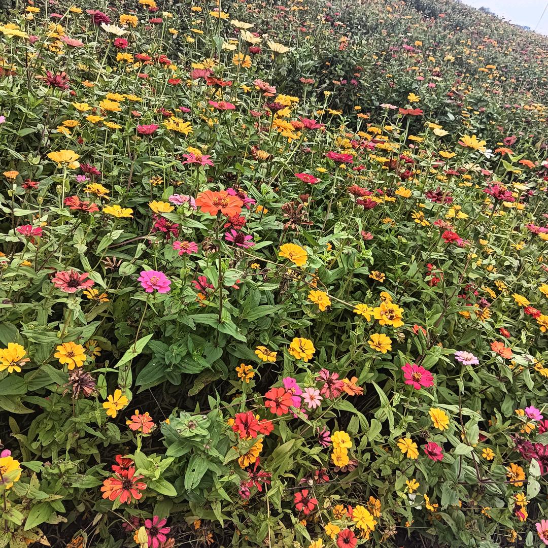 熙悉ヽ(爱´∀‘爱)ノ