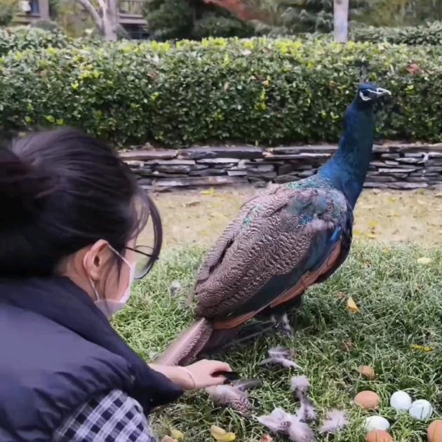 华璐商贸