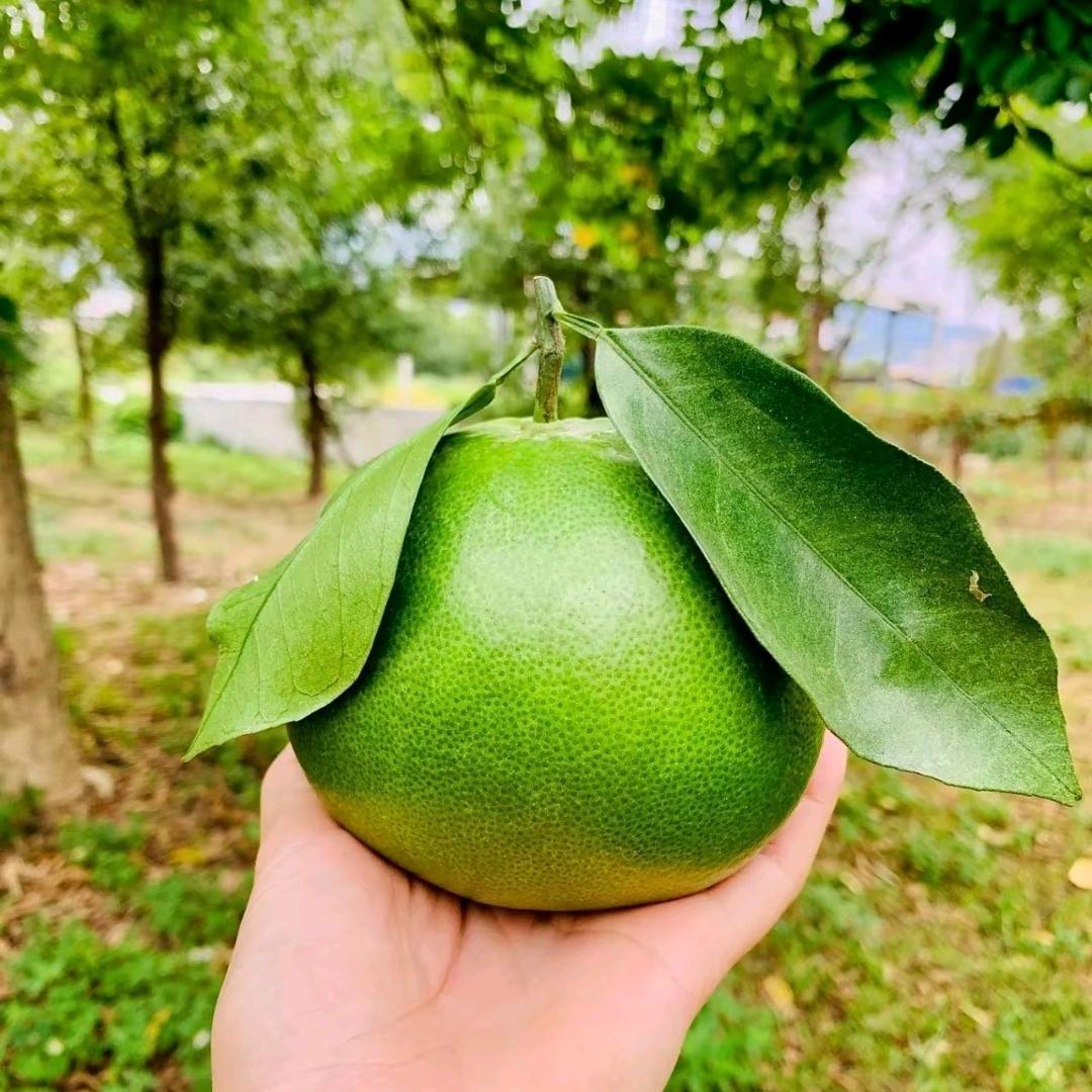 盛扬饰品精品小铺