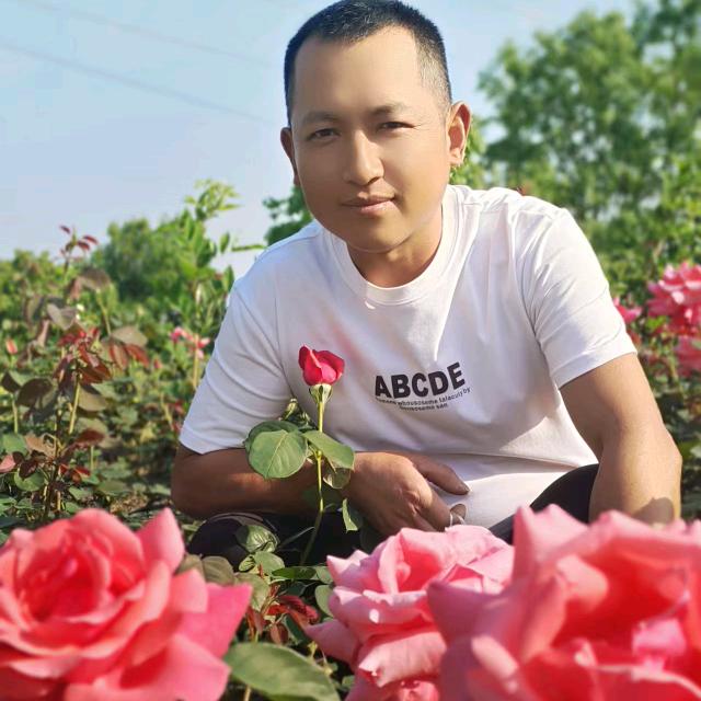 （伤不起）