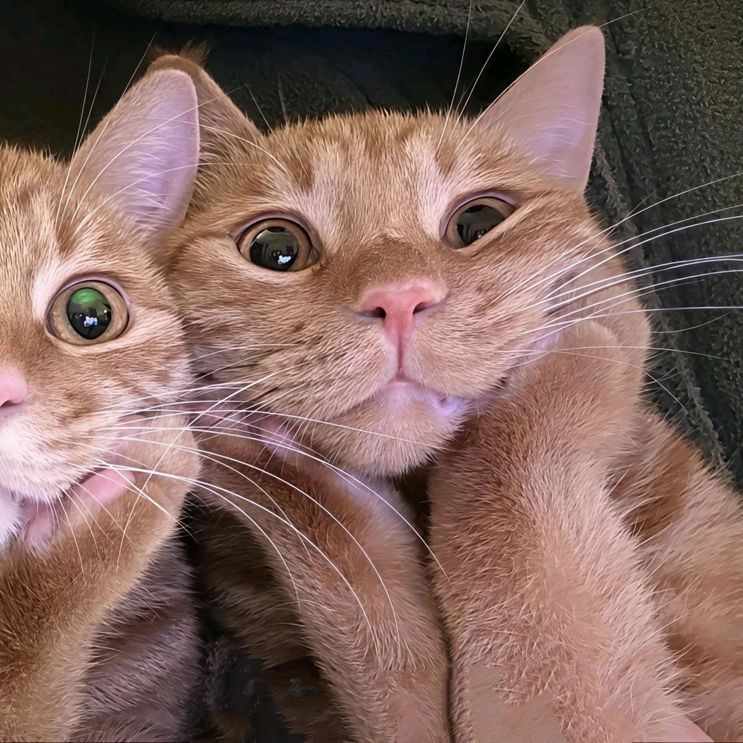 imnotWlia⁰⁶²⁵