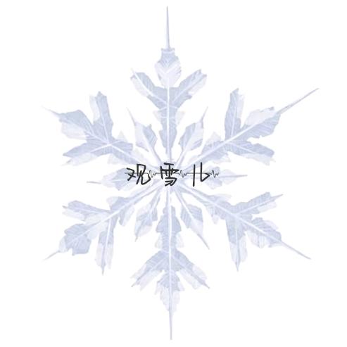 观雪儿