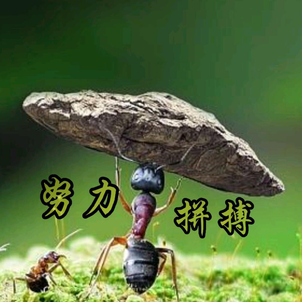夢之緣⁵²⁰
