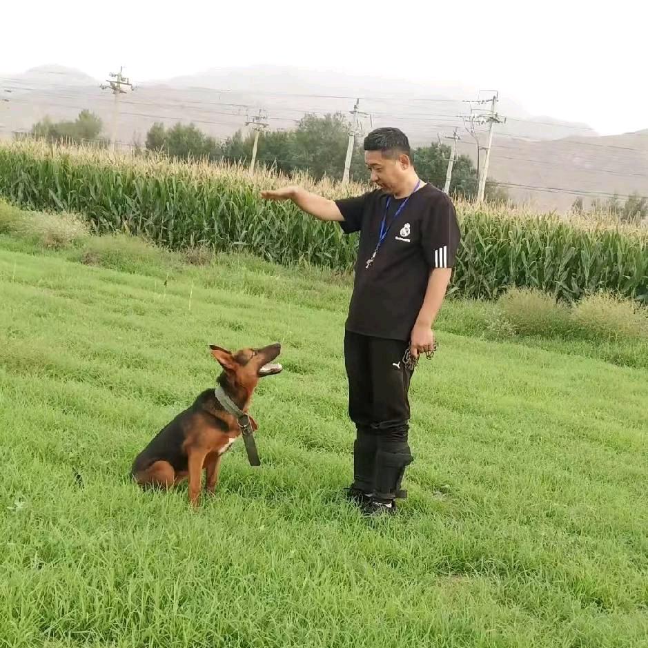 三顶哥
