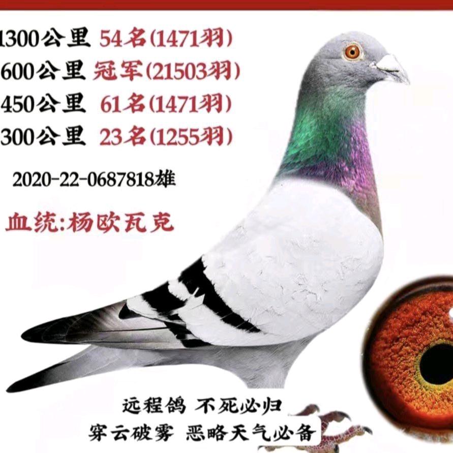 小亼物