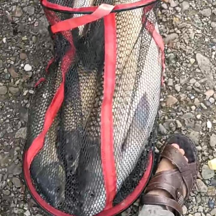 张家湾鱼塘垂钓