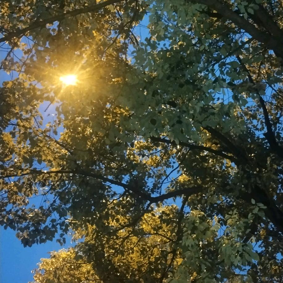 慧会