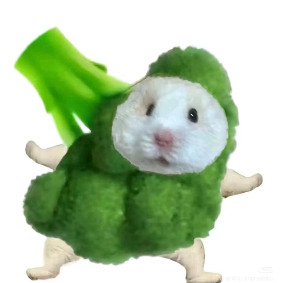 Yif噜