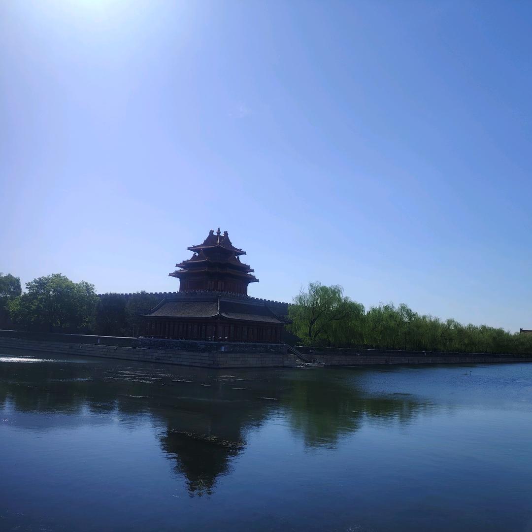 丫丫9599