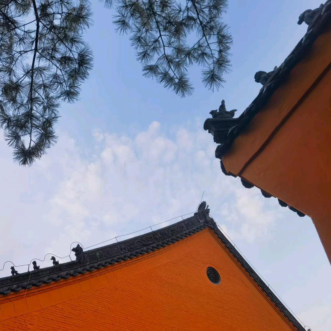 我要听别人的嘴说的他们说的都是谎言