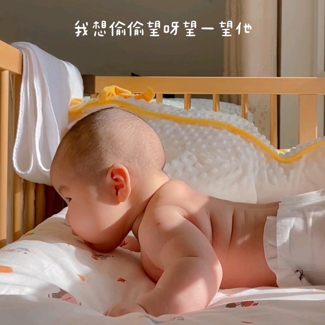 阿毛阿团