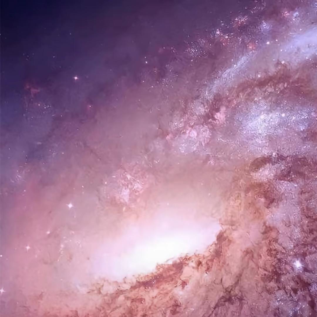 霞妹