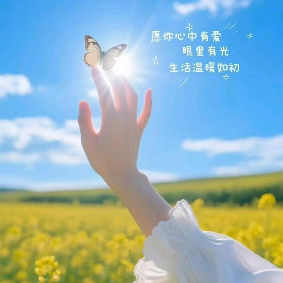 旅行者