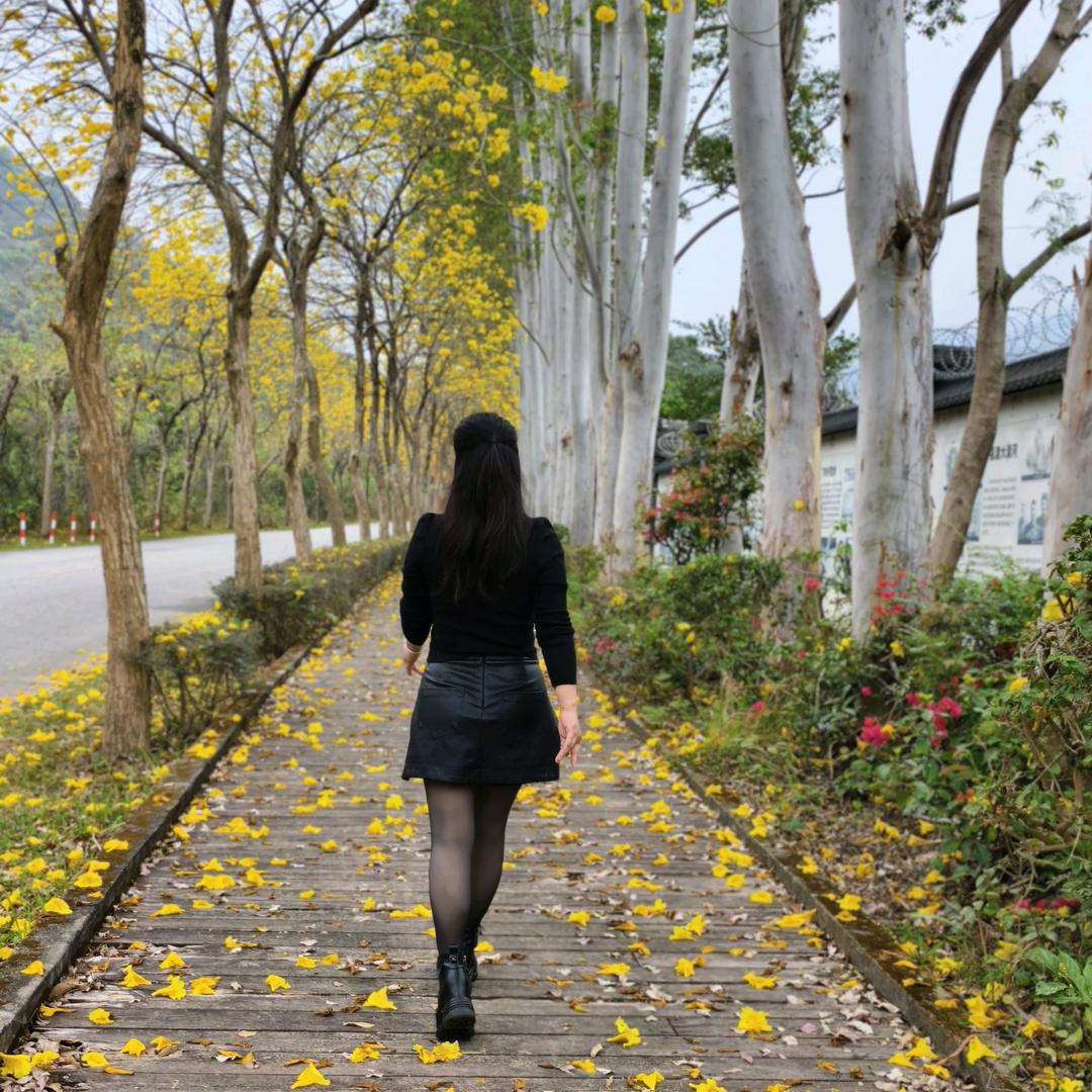 闲庭信步🌹