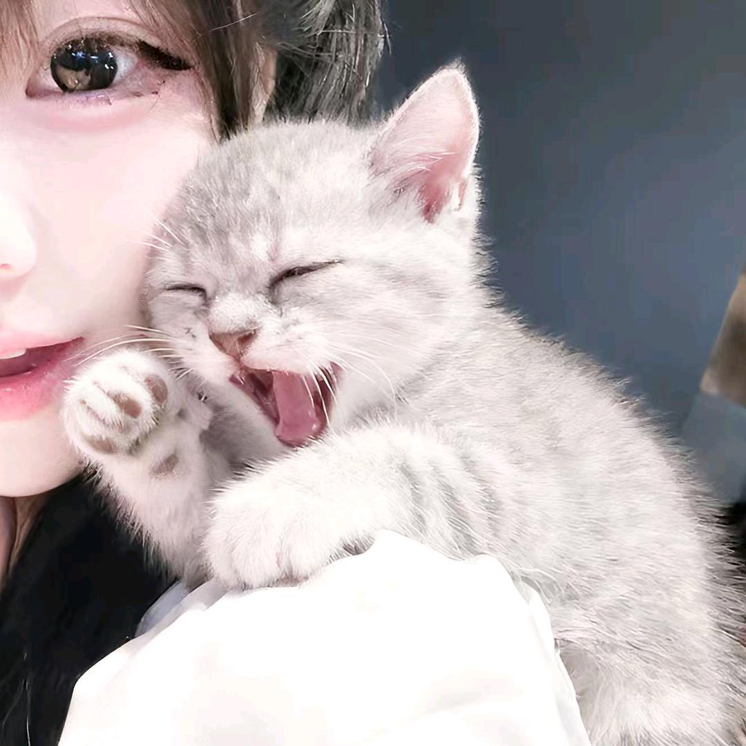 诠释