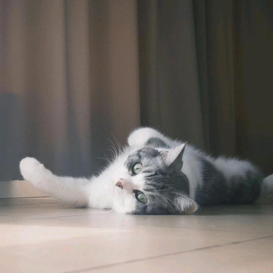 小纲纲☀️