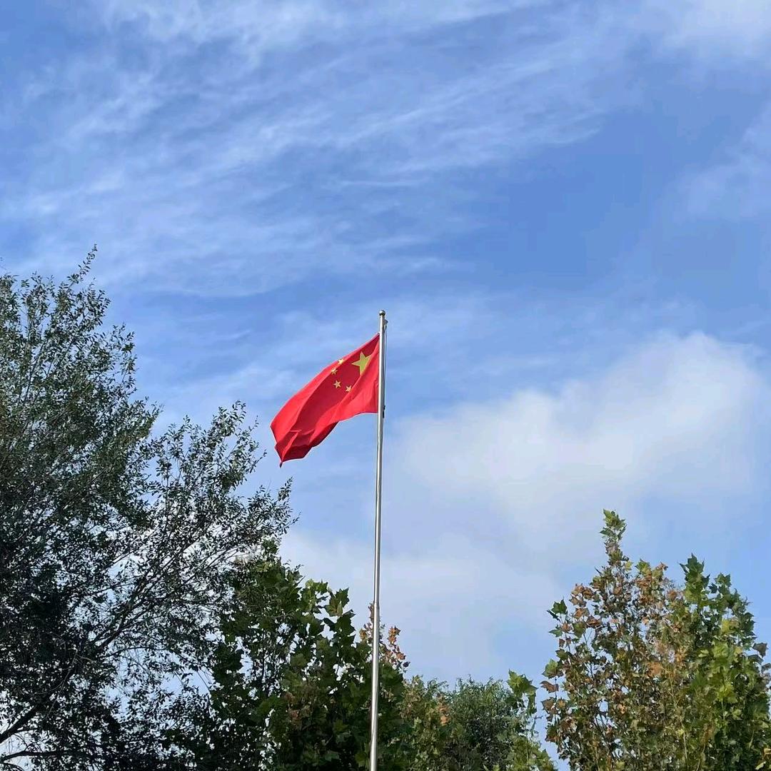 勇敢的心 有关毕茴