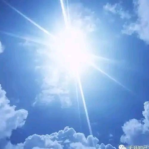 一木（不吃晚饭版）