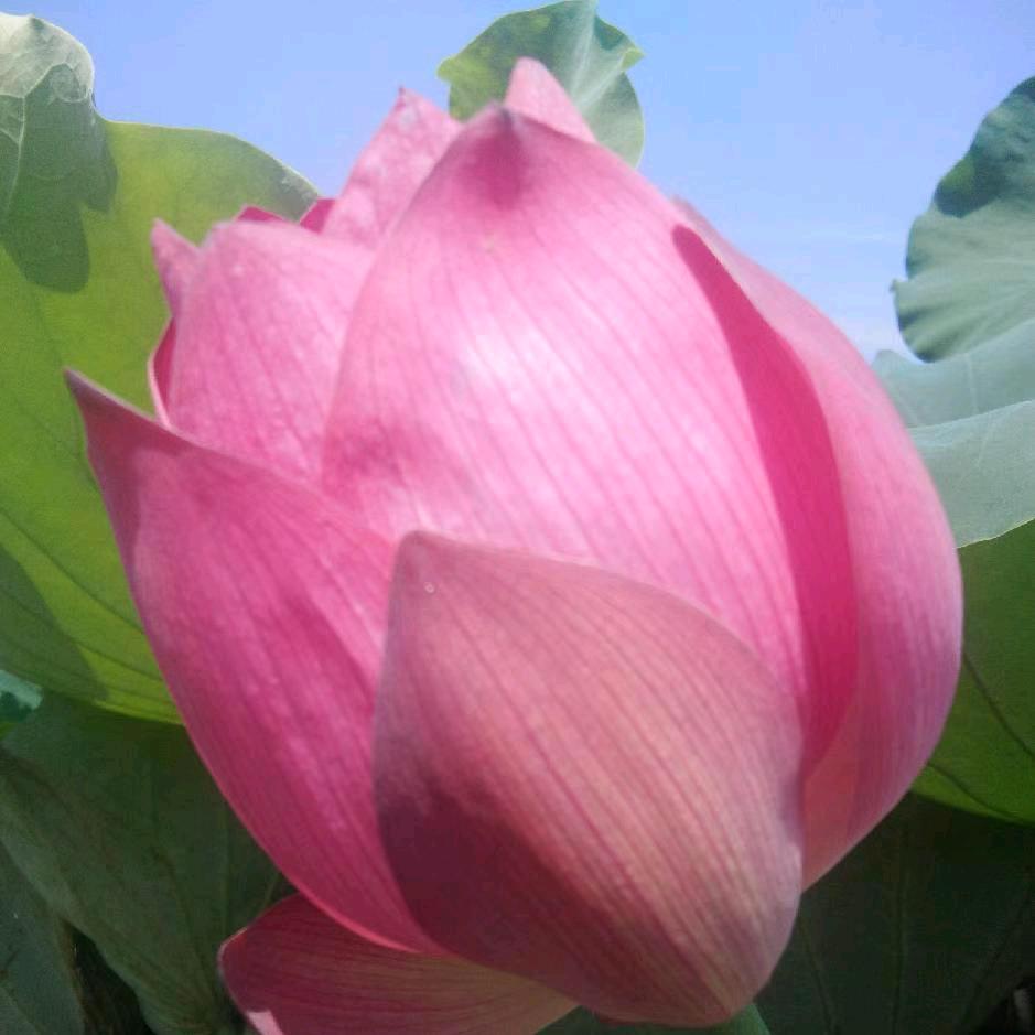 💞ঞ᭄婷໊婷໊ꦿഒᩚ