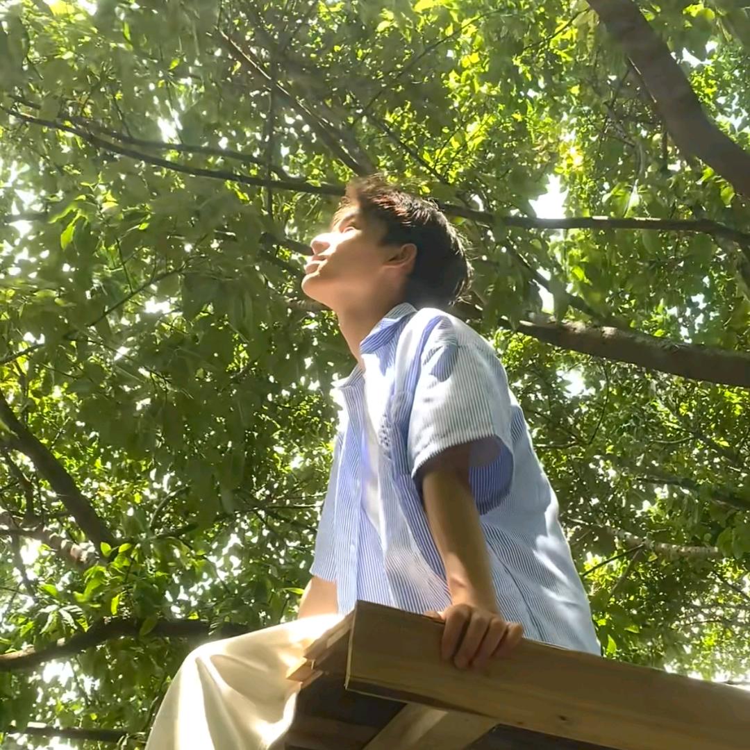 -闪闪